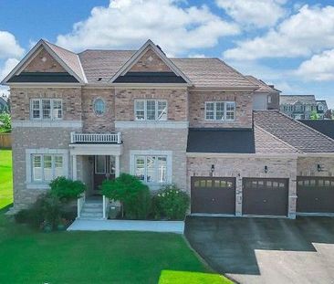 For Lease - 4 Meek Avenue Unit# # 2( bsmt), Mono, Ontario - Photo 4