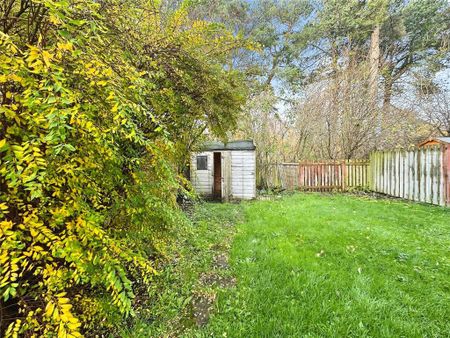 3 bedroom semi-detached house to rent - Photo 4