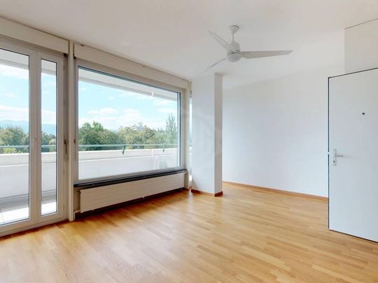 Bel appartement - Genève - Foto 1