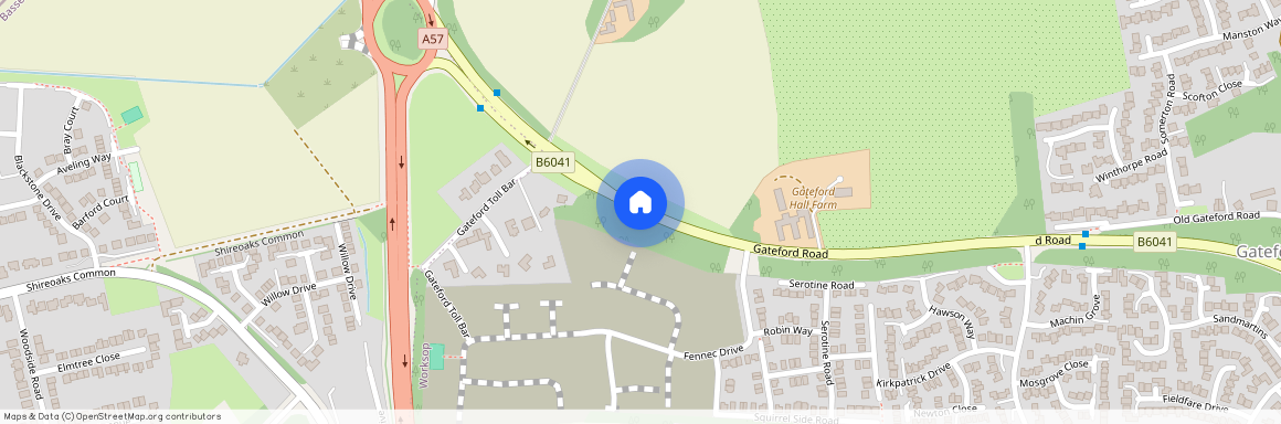 Redstart Place, Worksop S81