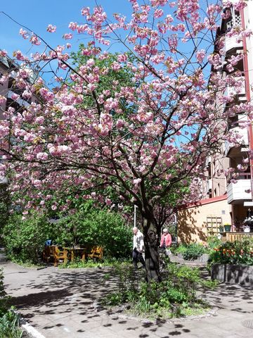 Landsvägsgatan, Göteborg - Foto 2