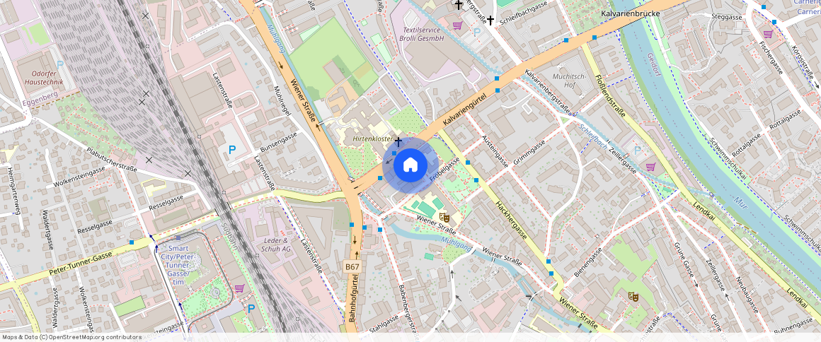 Hirtengasse **, 8020 Graz