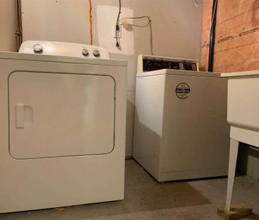 For Lease - 29 Estoril Street Unit# Basement, Richmond Hill, Ontario - Photo 6