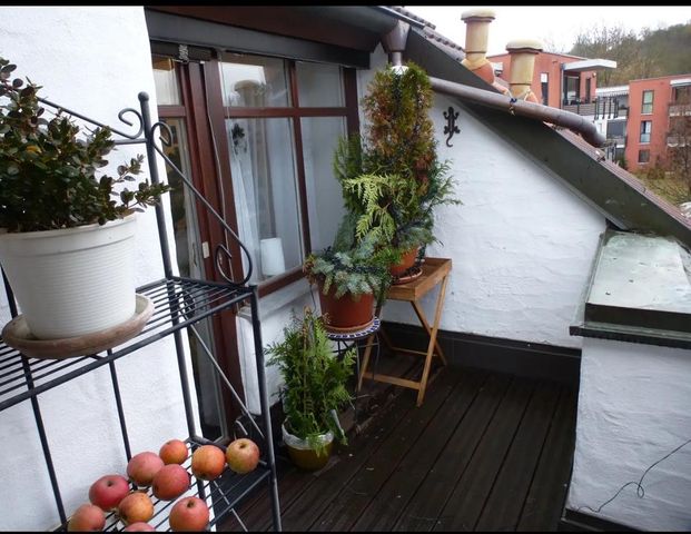 Wunderschöne Einliegerwohnung in Feldrandlage von Estenfeld - Photo 1