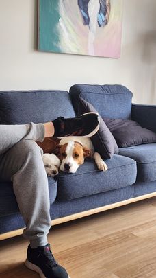 Andrews Farm - Photo 1