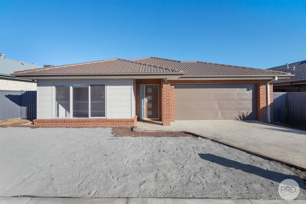 SPACIOUS 4 BEDROOM FAMILY HOME IN ALFREDTON - Photo 1