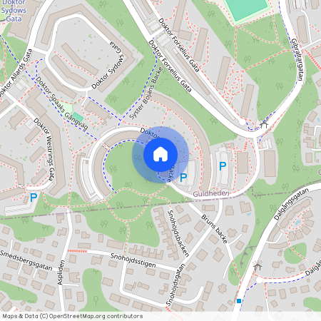 Guldheden, Göteborg, Västra Götaland, Doktor Forselius Backe 40