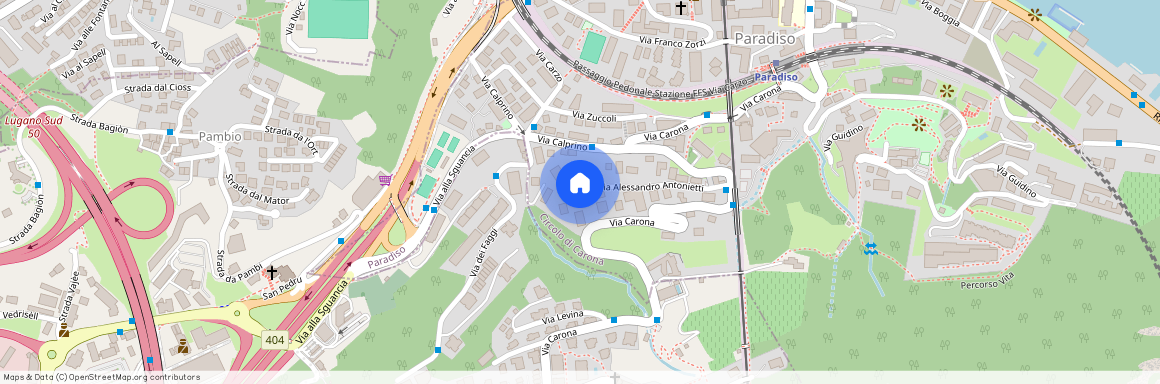 Via Antonietti 15, 6900 Paradiso