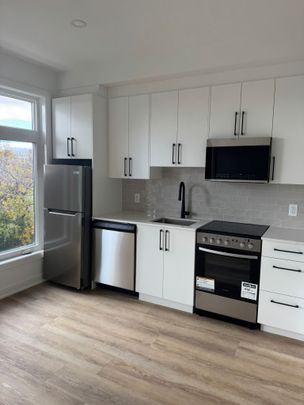 123 Harvey St #1, Ottawa, ON K1S 0A8 - Photo 1