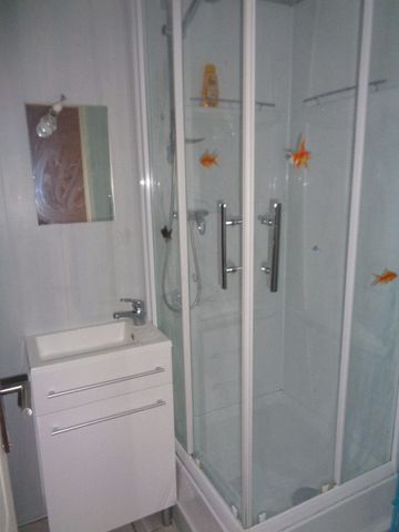 Location Appartement 1 pièce 24m² - Photo 4