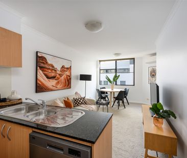 116/209 Harris Street, Pyrmont NSW 2009 - Apartment For Rent | Domain - Photo 2