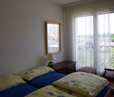 4-Zimmer-Attikawohnung, durchgehend, ruhig, Plan-les-Ouates - Photo 4