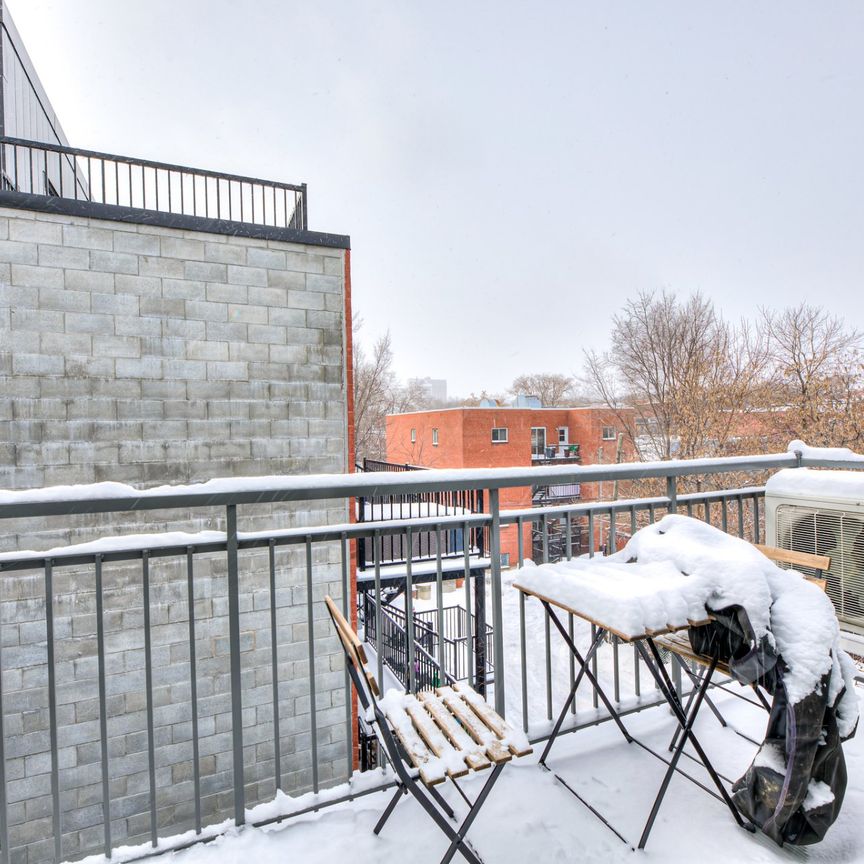 2541 Rue de Rouen #203, Montréal (Ville-Marie), H2K1M5 - Photo 1