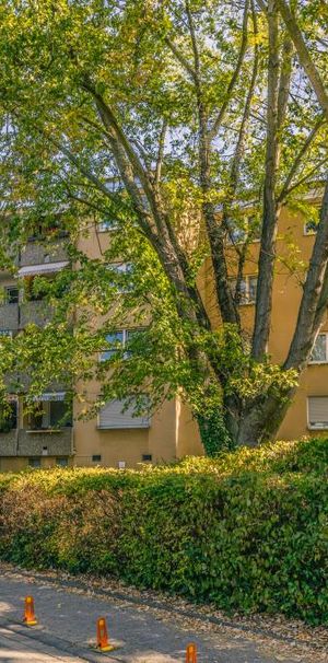 4-Zimmer-Wohnung mit Balkon in Bensheim mieten - Photo 1