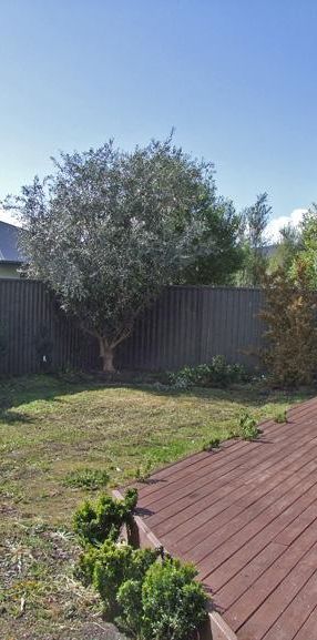 Bright and Sunny - Photo 1