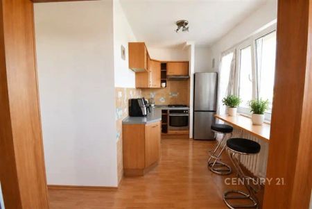 Nabízíme k pronájmu slunný byt 3+1/B/S, DV, 75 m - Photo 2