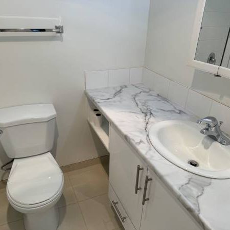 Brand New Renovated Large One Bedroom (Vancouver) - Photo 4