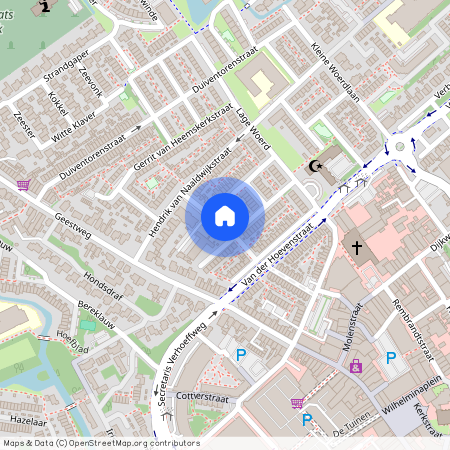 Catharina van Heenvlietstraat, 2671BE Naaldwijk