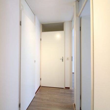 Paradijslaan - Foto 3