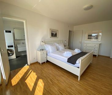 Top floor two bedroom apartment near Schüztenmatt Park - Photo 3