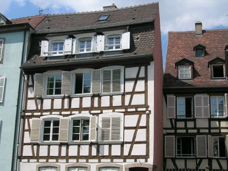 Location Appartement 1 pièce 37m² STRASBOURG 67000 - Photo 5