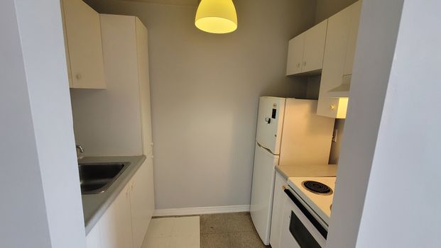 For Lease - 185 Dalhousie Street, Lower Town - Sandy Hill, Ontario - Photo 1