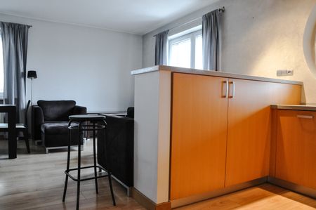 Poznań, Nowe Miasto, 52m - Фото 3