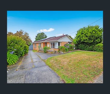 16 Alma Road, Hampton Park, Vic 3976 - Photo 4