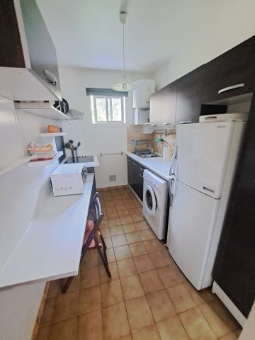 Location Appartement 1 pièce 22m² ST DENIS 97400 - Photo 2