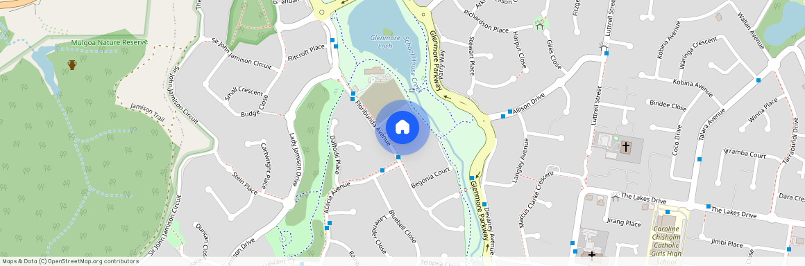 12 Freesia Place, NSW 2745, Glenmore Park