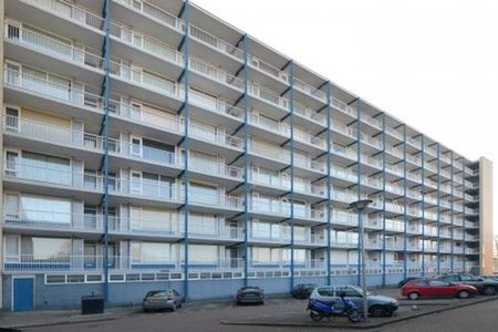 Rauwenhofflaan 3571 HP Utrecht - Foto 4