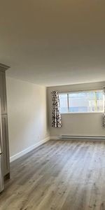 Exquisite, Newly Renovated Spacious Apartment in Ladner!! - Photo 3