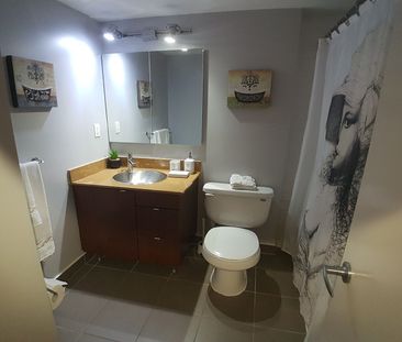 For Lease - 33 Lombard Street Unit# 314, Toronto, Ontario - Photo 3