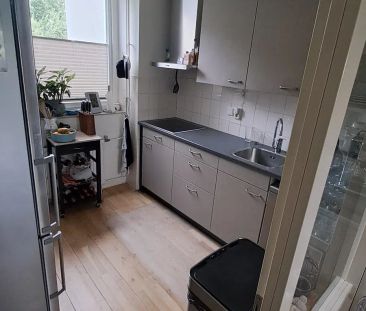 Appartement Nesdijk 91-A, Bergen - À louer - Photo 2