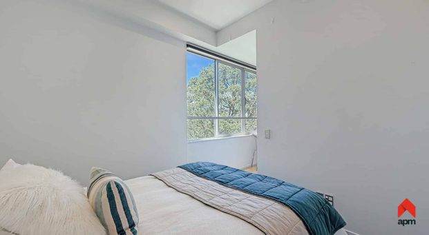 Magnificent Mirage - Photo 1