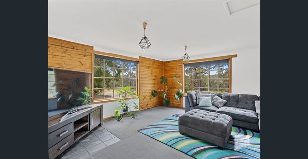 Serene & Secluded - Photo 1