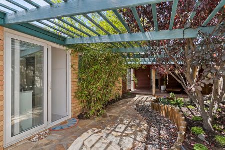 Marangaroo - Photo 3