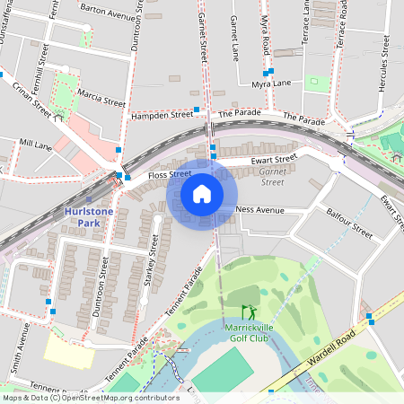 82 Garnet Street, NSW 2193, Hurlstone Park