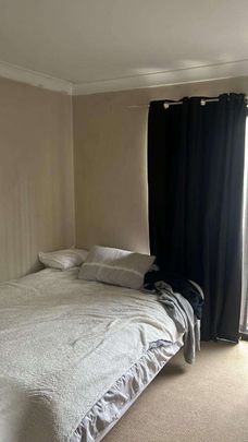 Glebe - Photo 1
