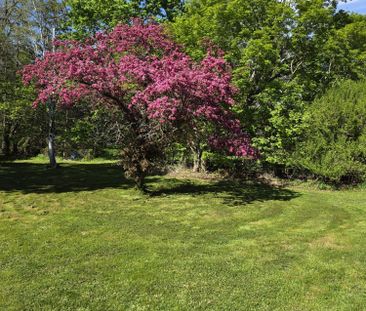 For Lease - 1604 Hwy 2 Road, Clarington, Ontario - Photo 6