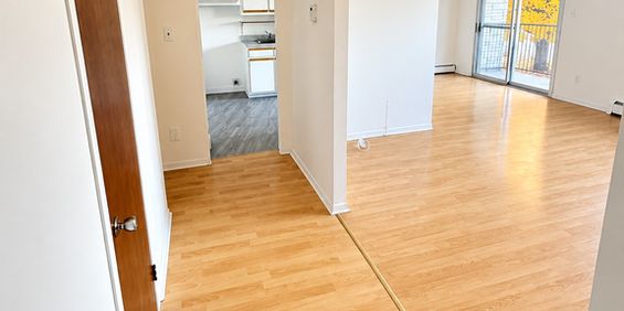 4½ 2 Chambres — 2557 Laurentie App. 4 - Photo 3