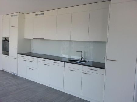 Stilvolle und moderne Wohnung mit zwei Balkonen - Foto 4