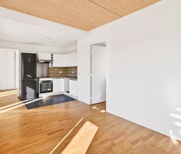 APPARTEMENT – 3 PIECES – 55.69 M² AVEC TERRASSE DE 63 M² – - Photo 1