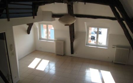 Appartement à louer 2 pièces • La Ferté-Saint-Aubin - Photo 3