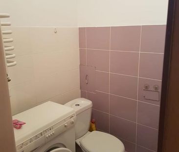 Wynajem, Mieszkanie - Elbląg Władysława IV - Photo 2