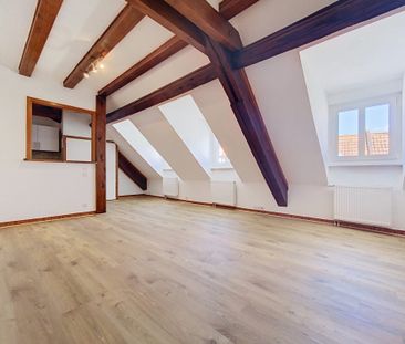 Location Appartement 2 pièces 43m² WOLFISHEIM 67202 - Photo 5