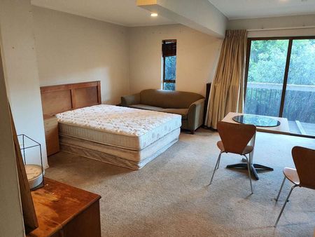 Charming Remuera 1BR Garden Flat! - Photo 2