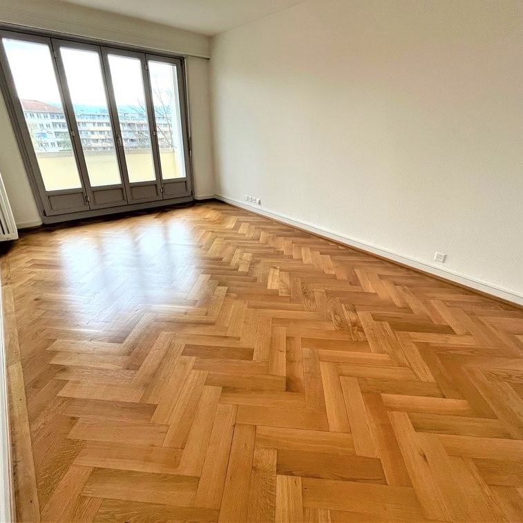 Appartement traversant - Proche Arve - Arrêt Blanche - Foto 1