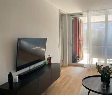 3.5 Zimmer, 88 m², EG - Foto 2