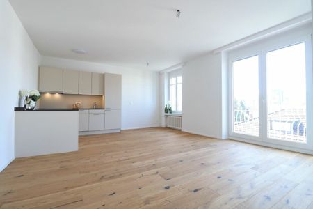 Moderne 2.5 Zimmer-Wohnung in ruhigem Quartier - Foto 4